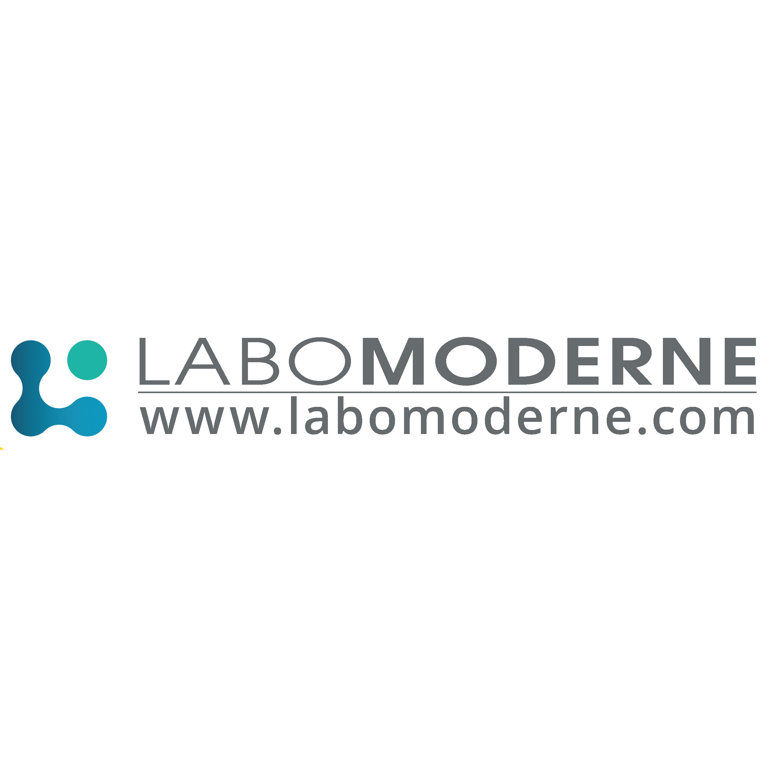 dNA9AK7fuw_logo_lmr2017_carre.jpg